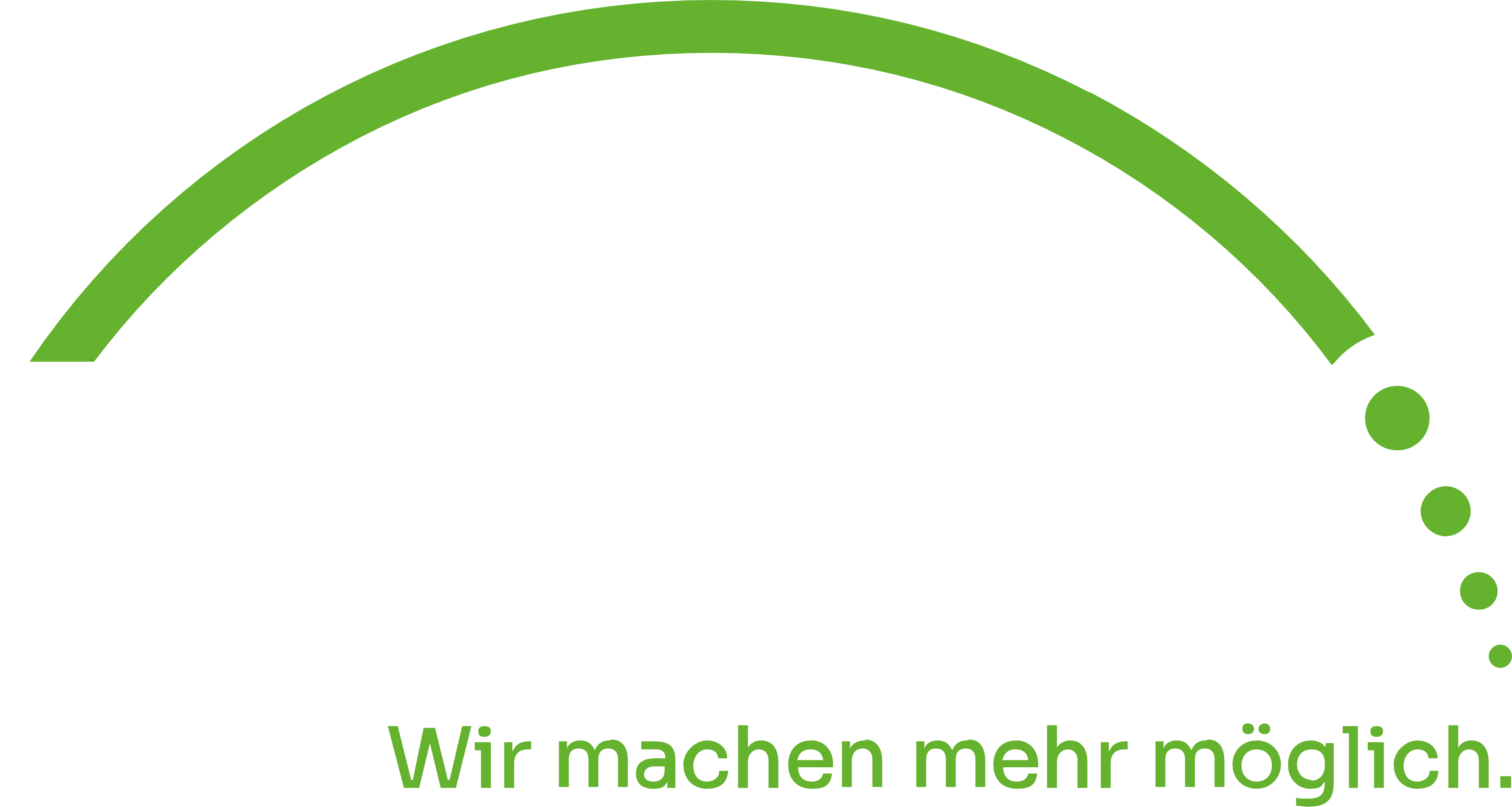 Terravis Logo